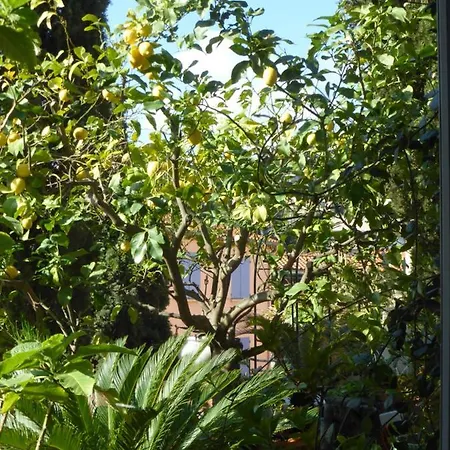 Michelet * Collioure